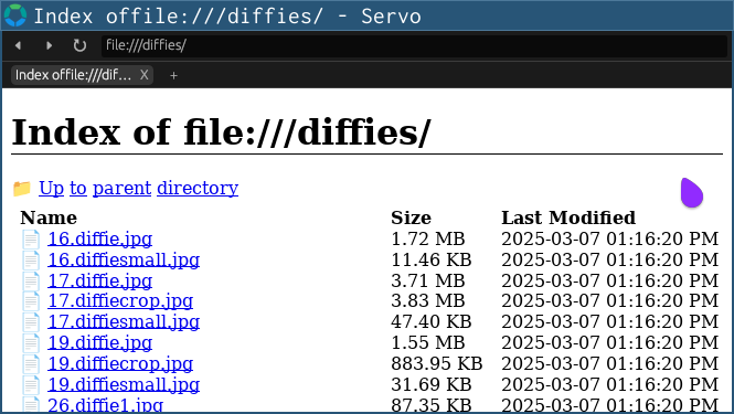 servoshell showing a local directory listing