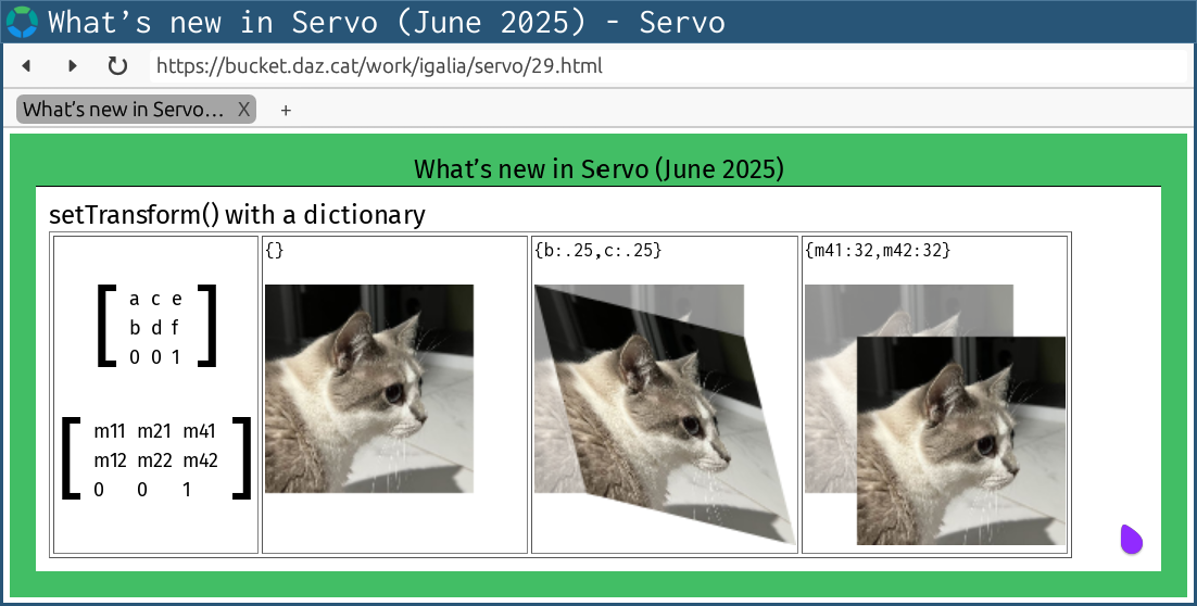 servoshell showing various examples of calling setTransform() on CanvasRenderingContext2D with a dictionary