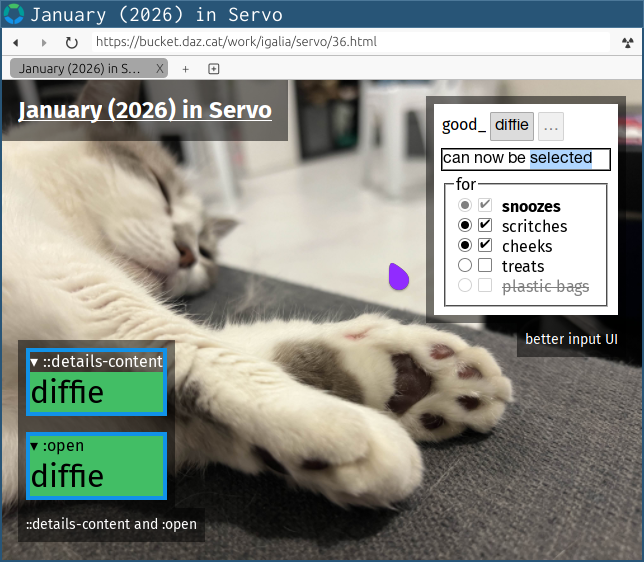 Servo 0.0.5 showing improved appearance of buttons, text inputs, radio buttons, and checkboxes, plus new support for ‘::details-content’ and ‘:open’ selectors