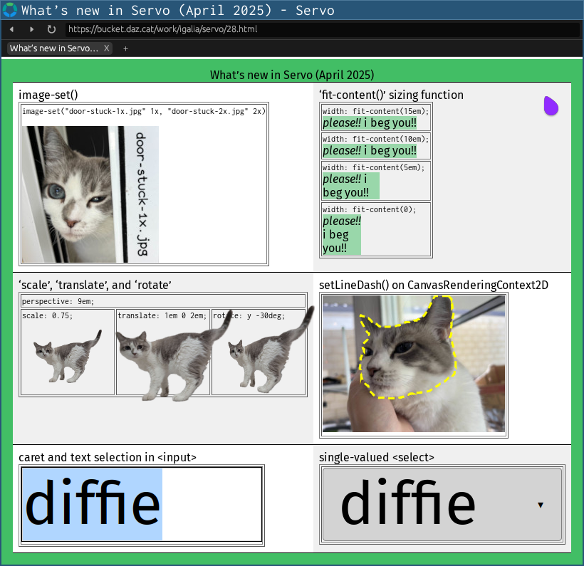 servoshell showing new support for ‘image-set()’, ‘fit-content()’, ‘scale’, ‘translate’, ‘rotate’, ‘setLineDash()’, caret and text selection in <input>, and single-valued <select>